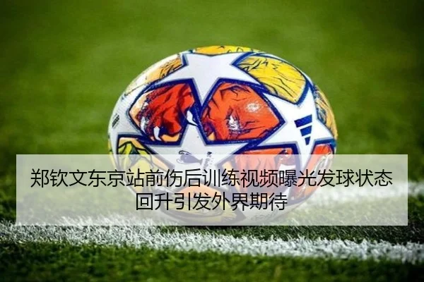郑钦文东京站前伤后训练视频曝光发球状态回升引发外界期待